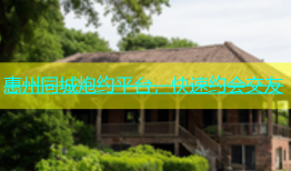 惠州同城炮约平台，快速约会交友