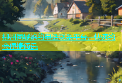 柳州同城炮约电话联系平台，快速约会便捷通讯