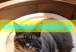牟平同城电话，快速交友平台