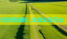 株洲同城群，快速交友平台
