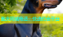 重庆同城电话，快速约会平台