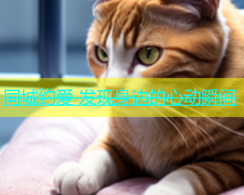同城约爱 发现身边的心动瞬间