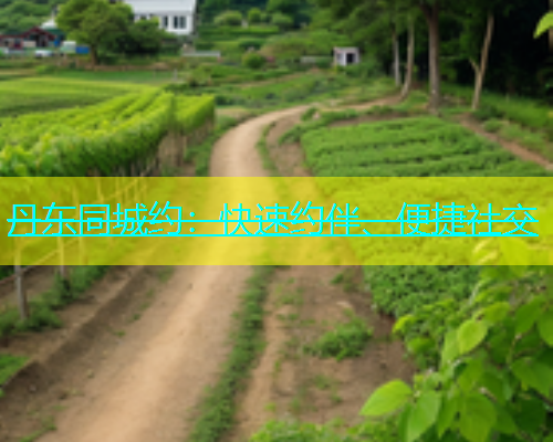 丹东同城约：快速约伴、便捷社交