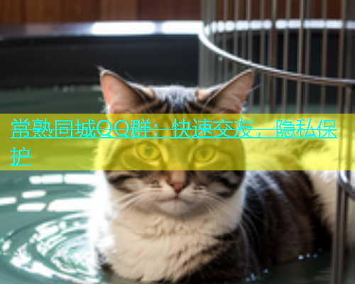 常熟同城QQ群：快速交友，隐私保护